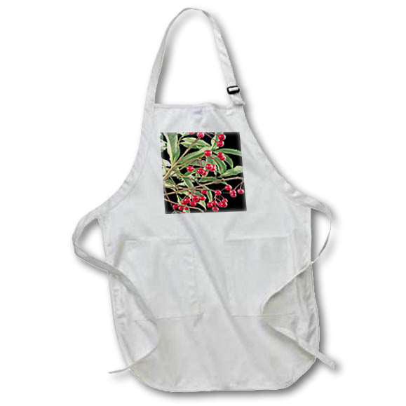 Apron - Christmas Berry Scarlet Ardisia Houseplant Vector Vector Art - Ardisia Berries