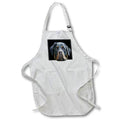 Apron - Rottweiler Peering Over A White Wall Vector Black Background Vector - Rottweiller