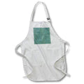 Apron - Aqua and Image Of Gold Egyptian Hieroglyphics Pattern Patterns