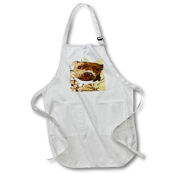 Apron - Such a cute pitt bull looking up adoringly at you Animal - Sweet Pibble Face