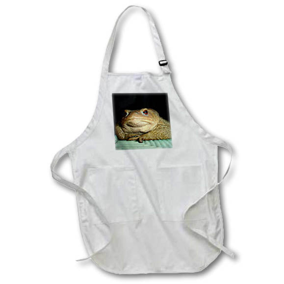 Apron - A Common Toad With Philosophical Disposition Photography - Common Toad