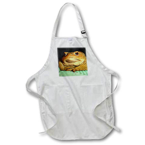 Apron - Toad With Philosophical Disposition Acrylic Painting Acrylic Painting - Bufo Bufo Common Toad