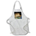 Apron - Close Up of A Common European Toad Photography - Common Toad