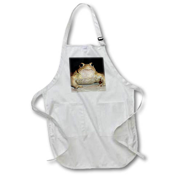 Apron - Common European Toad Photograph Photography - Common Toad