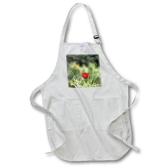 Apron - One Red Poppy Realism Art Acrylic Painting - Wildflowers