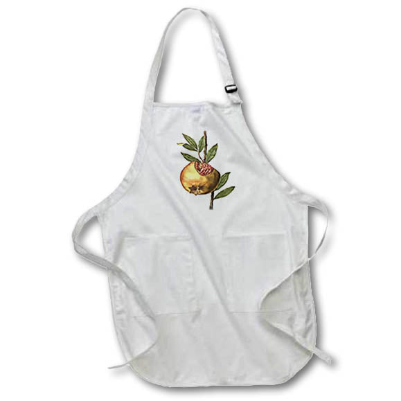 Apron - Mediterranean Pomegranate Fruit And Seeds Botanical Art Vector Art - Pomegranate
