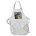 Apron - Stunning Tabby Cat Close Up Portrait Vector On Grey Background Vector Art - Tabby Cat