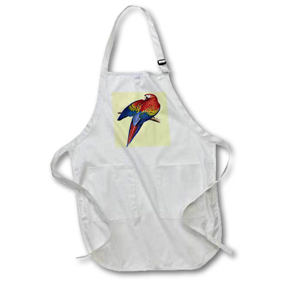 Apron - Scarlet Macaw Perched On A Branch Illustration Vector Art - Scarlet Macaw