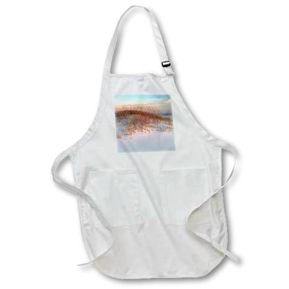 Apron - Sea grass on sand dune with sidelight from the sun Photography - Landscapes