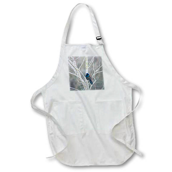 Apron - Black and Blue bird sititng on tree limb Photography - Wildlife