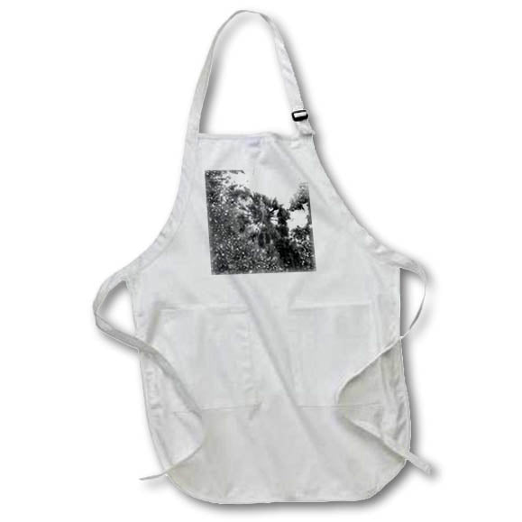 Apron - A palm tree on a sunny day in black and white Photography - Shining Above Black