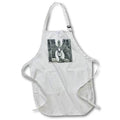 Apron - I lovely sketch of a family of swans Animal - Swan Family