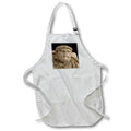 Apron - Aristotle Greek Philosopher Statue Vector - Aristotle Head and Shoulders