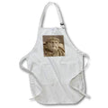 Apron - Aristotle Greek Philosopher Statue Vector - Aristotle Head and Shoulders