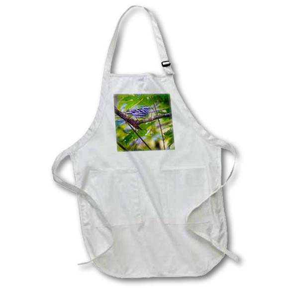 Apron - Black and White Warbler Bird Photography Bird
