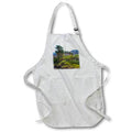 Apron - Desert Spring in Lake Mead Natural Recreation Area Photography Landscape