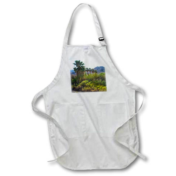 Apron - Desert Spring in Lake Mead Natural Recreation Area Photography Landscape