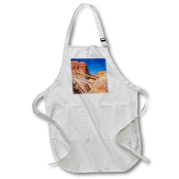 Apron - Approaching the Kaolin Wash in Valley of Fire State Park Nevada Photography Landscape