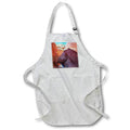 Apron - Deep in the Kaolin Wash at Valley of Fire State Park Nevada Photography Landscape
