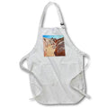 Apron - Kaolin Wash and Sand Bottom at Valley of Fire State Park Nevada Photography Landscape