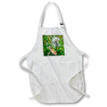Apron - Milkweed Plant and Seed Pods Photography Plant