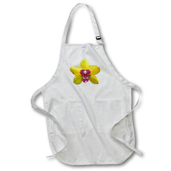 Apron - A yellow and lavender orchid Graphics Flower