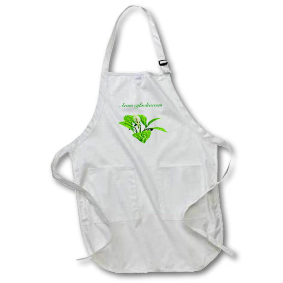 Apron - An Arum plant and flower with latin title Graphics Flower