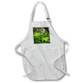 Apron - An Arum plant and flower in the forest Graphics Flower