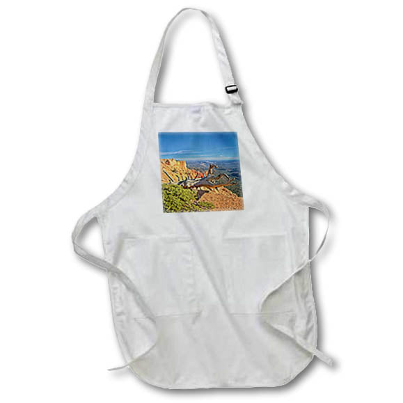 Apron - An Overlook with a Tree trunk in the Foreground at Bryce Canyon Photography Landscape