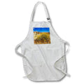 Apron - Sandstone Formations and Wildflowers at Joshua Tree Photography Landscape