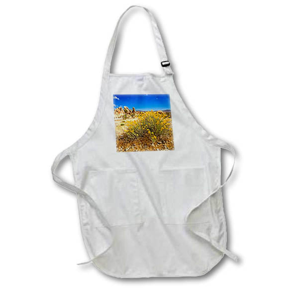 Apron - Sandstone Formations and Wildflowers at Joshua Tree Photography Landscape