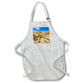 Apron - Sandstone formations at White Tank in Joshua Tree Photography Landscape