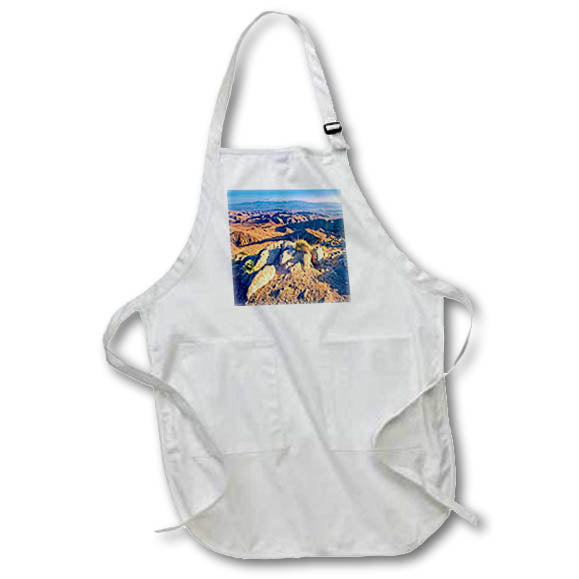 Apron - Look to the south in Joshua Tree Photography Landscape