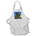 Apron - Bristlecone Ancient Pine in Inyo National Forest Photography Landscape
