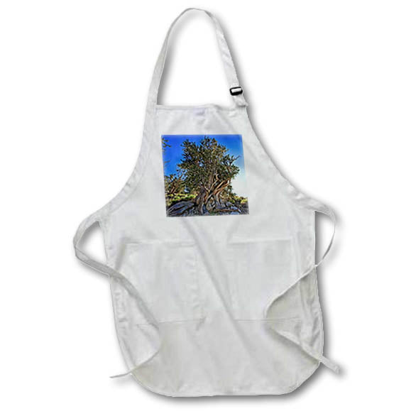 Apron - Bristlecone Ancient Pine in Inyo National Forest Photography Landscape
