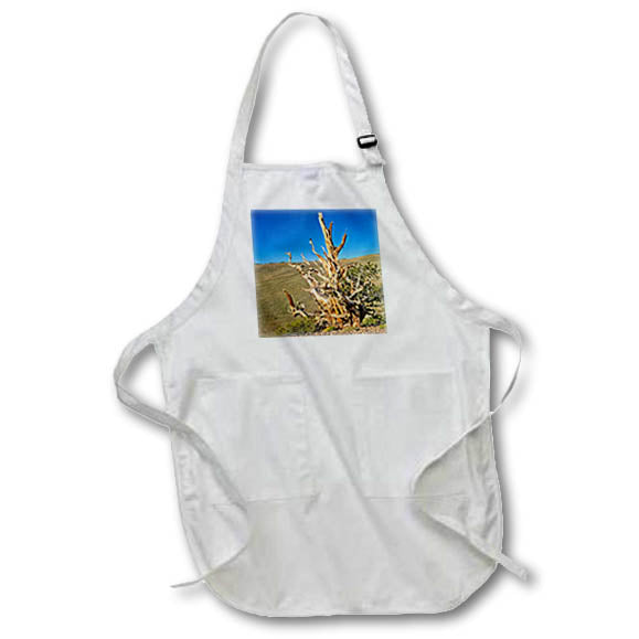 Apron - A lone ancient pine in Patriarch Grove Photography Landscape