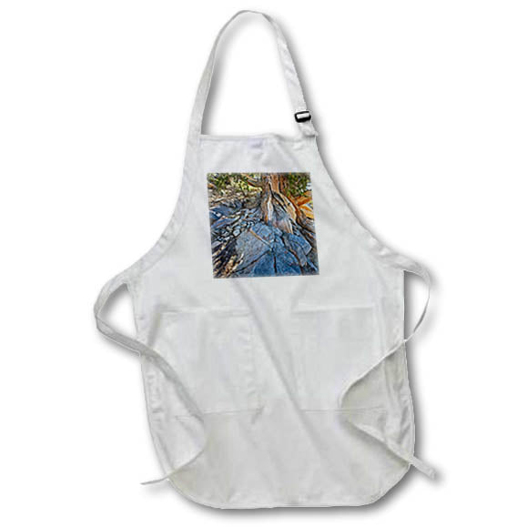 Apron - Ancient Pine trunk with roots and stone Photography Landscape