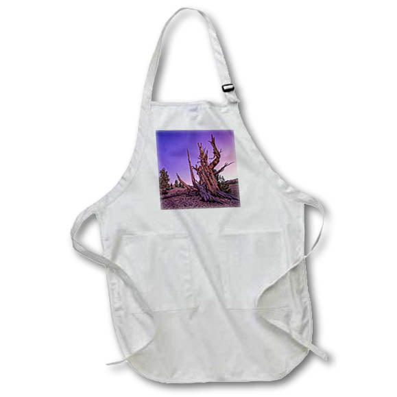 Apron - A spectacular ancient pine at twilight near Patriarch Grove Photography Landscape