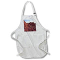 Apron - Dawn Light at Valley of Fire State Park Photography Landscape