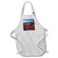 Apron - Fantastic landscape of Valley of Fire State Park Photography Landscape