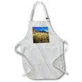 Apron - Bursts of Fall Yellow in Zion National Park Photography Landscape