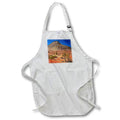 Apron - Checkerboard Mesa in Zion National Park Photography Landscape