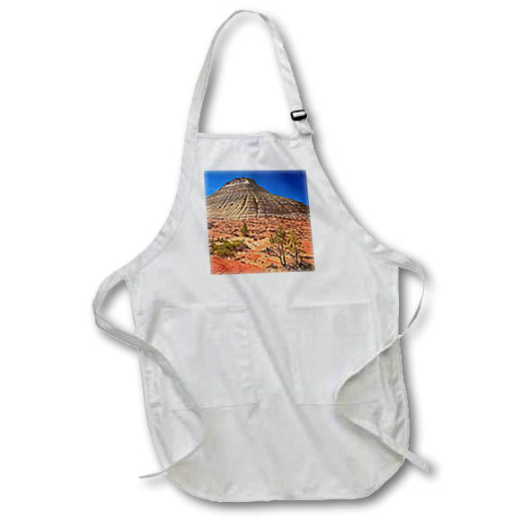 Apron - Checkerboard Mesa in Zion National Park Photography Landscape