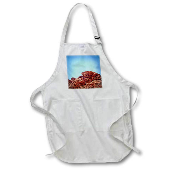 Apron - Alien boulders in Valley of Fire State Park Photography Landscape