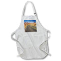 Apron - Road into the colored landscape in Valley of Fire State Park Photography Landscape