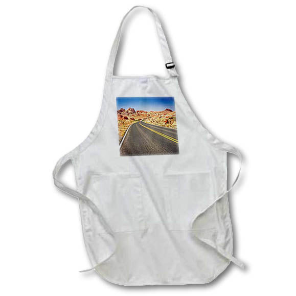Apron - Road into the colored landscape in Valley of Fire State Park Photography Landscape