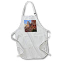 Apron - Boulder strewn formations at the White Domes in Valley of Fire Photography Landscape