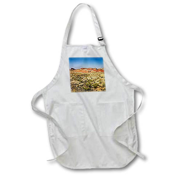 Apron - Fractured landscape of Valley of Fire State Park Photography Landscape