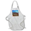 Apron - Volcanic Landscape of Valley of Fire State Park Photography Landscape
