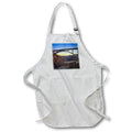 Apron - Mike Ocallaghan Pat Tillman Memorial Bridge at Hoover Dam Photography Landscape